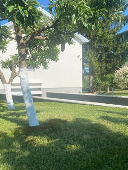 Kuća za odmor Milan, Šarengrad, Croatia