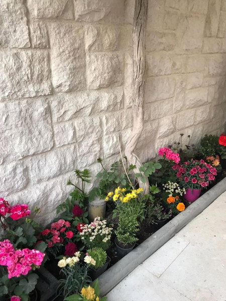 Apartman Crnica, Šibenik, Croatia