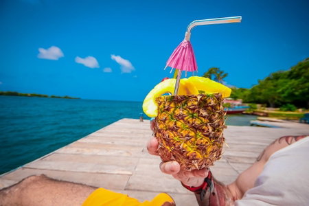 Eco Hotel Los Erizos, Rosario Islands, Colombia