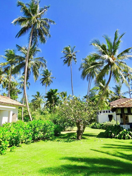 Samaragiri, Galle, Sri Lanka
