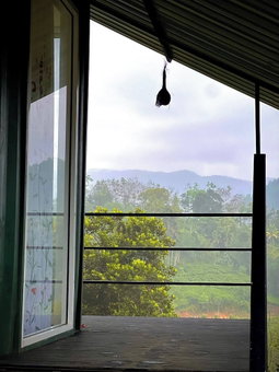 The Secret Garden at Mist of Sinharaja, Neluwa, Sri Lanka