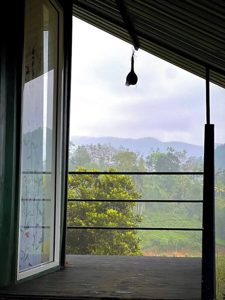 The Secret Garden at Mist of Sinharaja, Neluwa, Sri Lanka