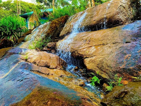 The Secret Garden at Mist of Sinharaja, Neluwa, Sri Lanka