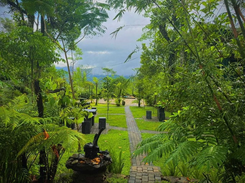 The Secret Garden at Mist of Sinharaja, Neluwa, Sri Lanka