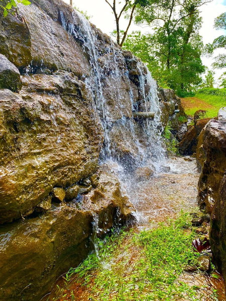 The Secret Garden at Mist of Sinharaja, Neluwa, Sri Lanka