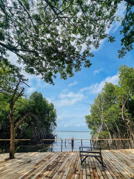 Blue Mangrove Lagoon by Serenity, Negombo, Sri Lanka