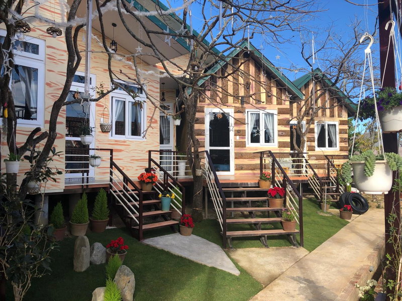 Pine Tree Homestay, Da Thien, Vietnam