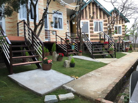 Pine Tree Homestay, Da Thien, Vietnam