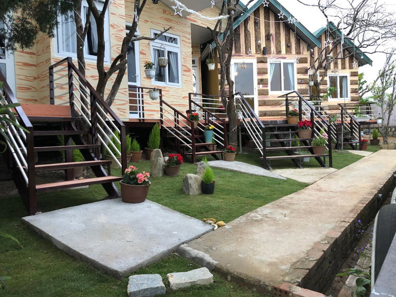 Pine Tree Homestay, Da Thien, Vietnam