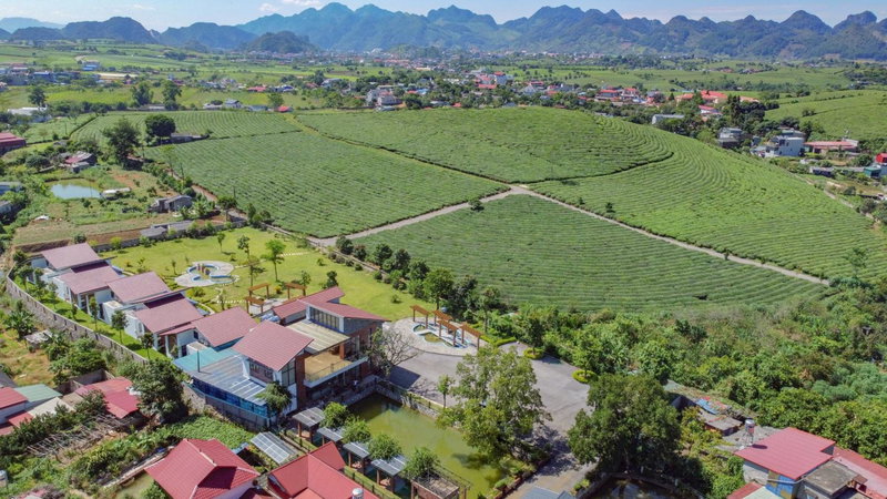 Emopea Moc Chau, Mộc Châu, Vietnam