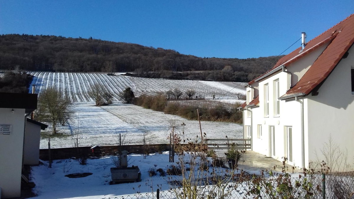 Aux vignes, France