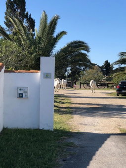 Gite Armieux, Saintes-Maries-de-la-Mer, France