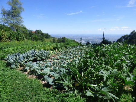 Damarco Alloggio Turistico Locanda, Schio, Italy