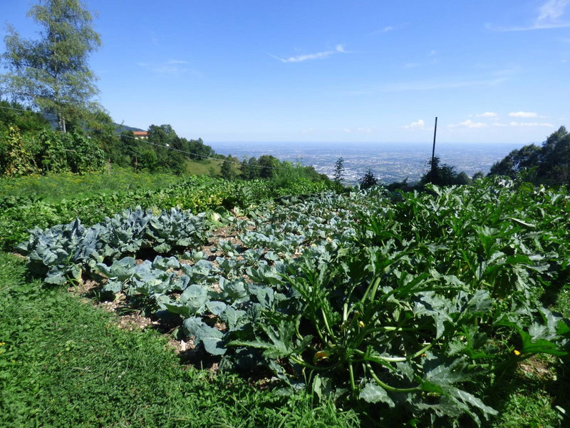 Damarco Alloggio Turistico Locanda, Schio, Italy