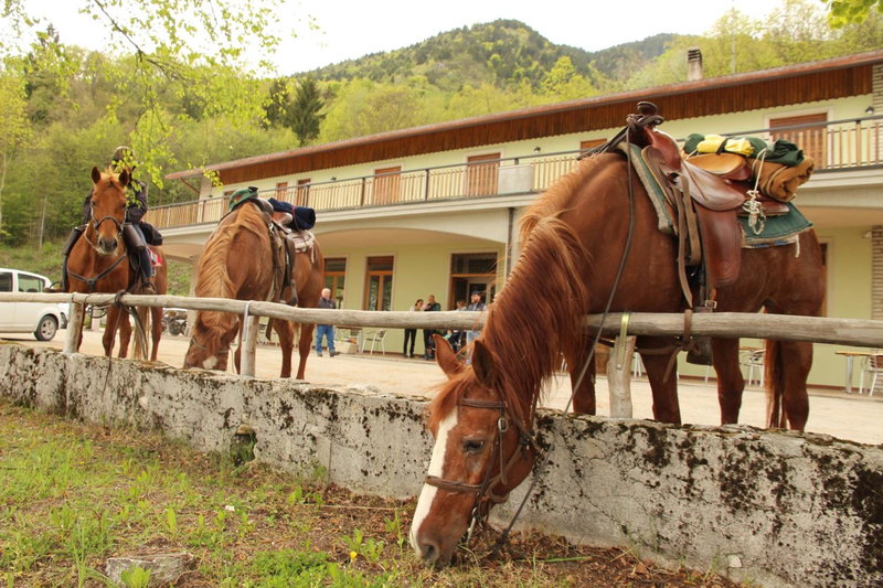 Damarco Alloggio Turistico Locanda, Schio, Italy