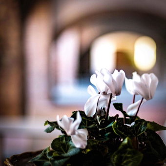 Albergo La Rocca, Brisighella, Italy