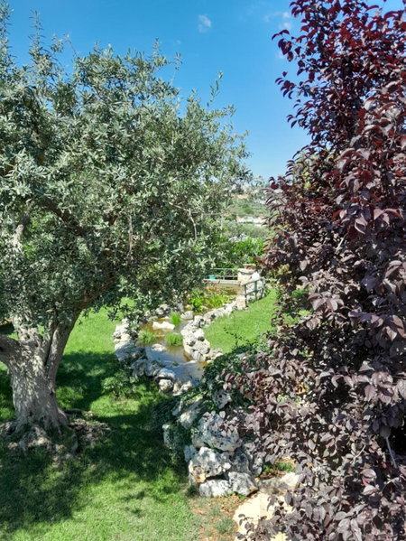 B&B La Rosa dei Trulli Alberobello, Alberobello, Italy