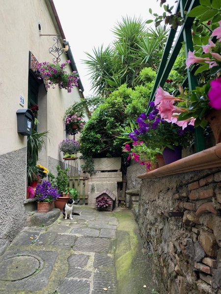 B&B L'Orologio, Signa, Italy