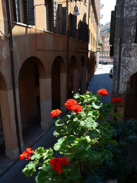 Madam Treviso, Treviso, Italy