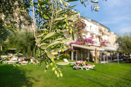 Hotel Baia Azzurra - Lake Front, Nago-Torbole, Italy