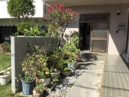 Minshuku Zabaru, Ishigaki Island, Japan