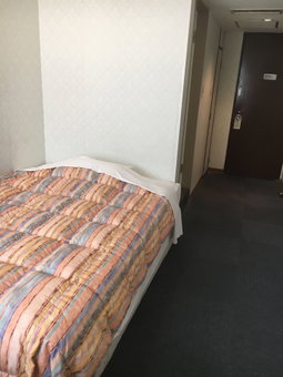 Hotel Kokusai Plaza, Naha, Japan