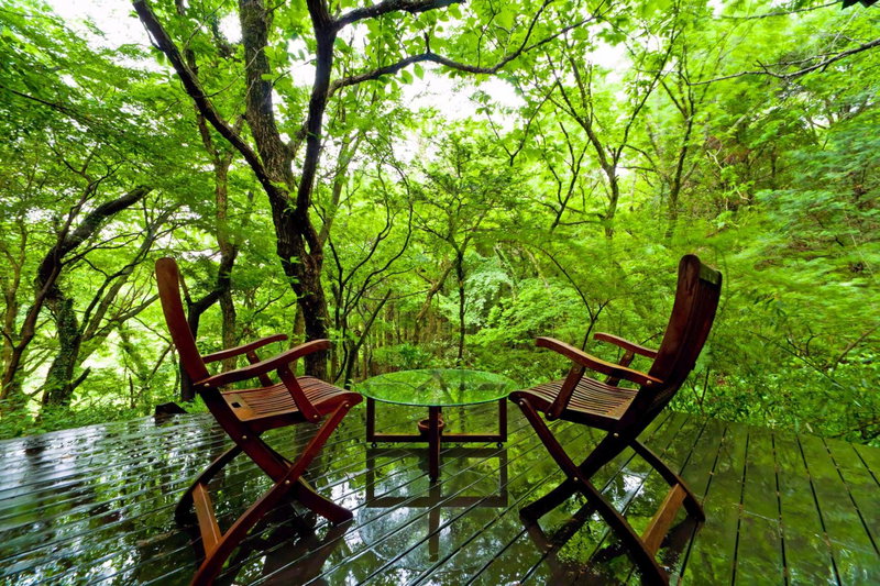 Sen-no-Mori, Aso, Japan