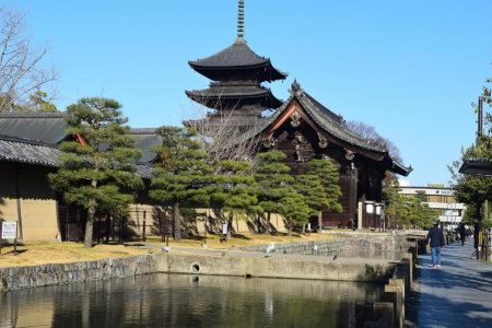 Kyoto Shaw Inn, Kyoto, Japan