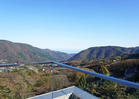 Villa Liberte Hakone Gora, Hakone, Japan