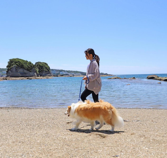 Wan Wan Paradise Premier Nanki Shirahama, Shirahama, Japan