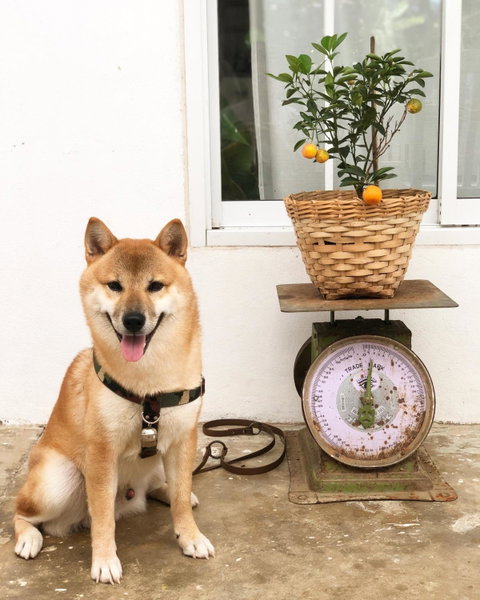 One Chan Farmstay, Chanthaburi, Thailand