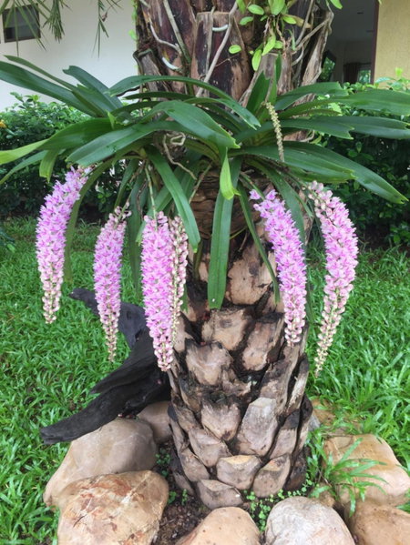 Wangka Resort, Sangkhla Buri, Thailand