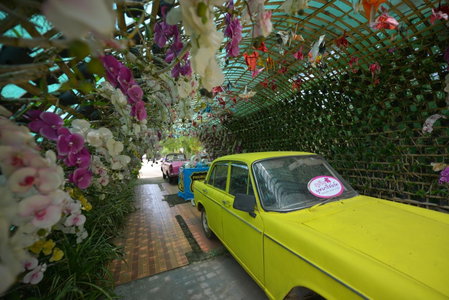 Phurua Bussaba Resort & Spa ภูเรือบุษบารีสอร์ท แอนด์ สปา, Loei, Thailand