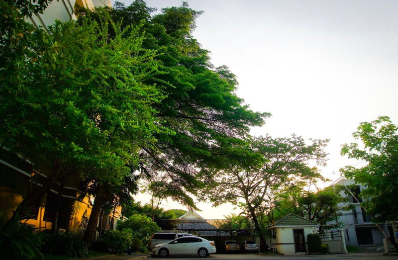Baan Boonanan Apartment, Ban Talat Rangsit, Thailand