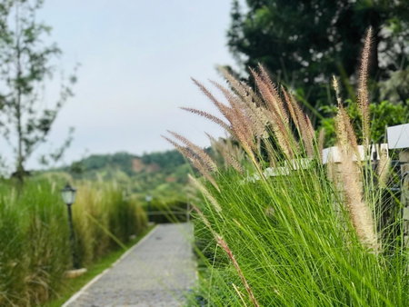The Castell Khao Kho At Bluesky By TanTen, Campson, Thailand