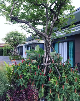 Bannjamjuree Resort Sattahip, Sattahip, Thailand