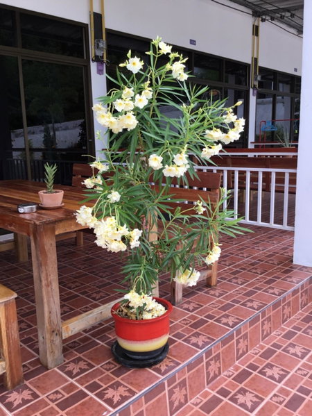 Anong's 2 bedroom family home for up to 6 guests, Ko Samed, Thailand