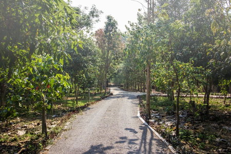 Baan NaraTawan, Suan Phung, Thailand