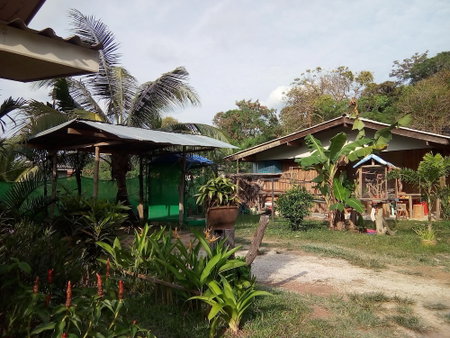 Klong Khong Garden, Ko Lanta, Thailand