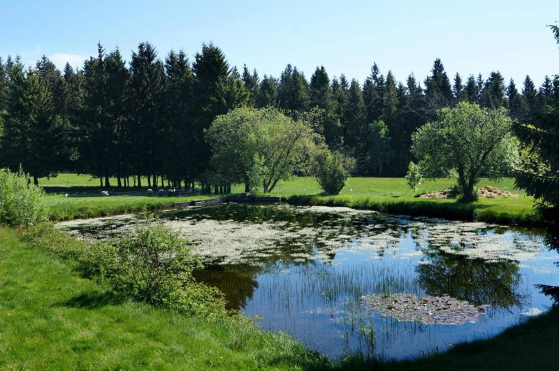 Kammbaude Neuhermsdorf, Neuhermsdorf, Germany
