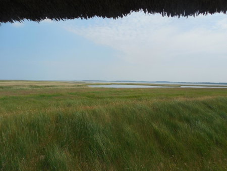 Hotel Schlösschen Sundische Wiese Zingst, Zingst, Germany