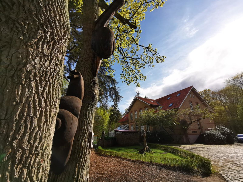 Hotel Schlösschen Sundische Wiese Zingst, Zingst, Germany