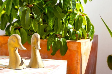 Riad Vejerísimo - Unique private patio house 8 pers, Vejer de la Frontera, Spain