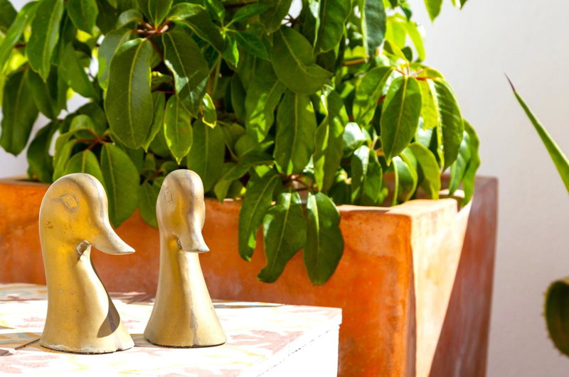 Riad Vejerísimo - Unique private patio house 8 pers, Vejer de la Frontera, Spain