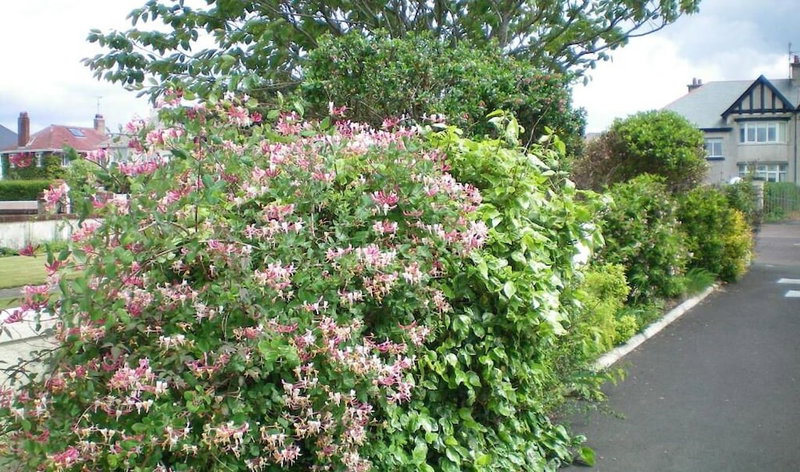 Aaranmore Lodge Bed & Breakfast, Portrush, United Kingdom