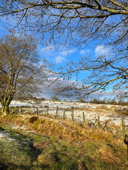 Stoneymollan over Loch Lomond, Balloch, United Kingdom