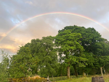 Stoneymollan over Loch Lomond, Balloch, United Kingdom