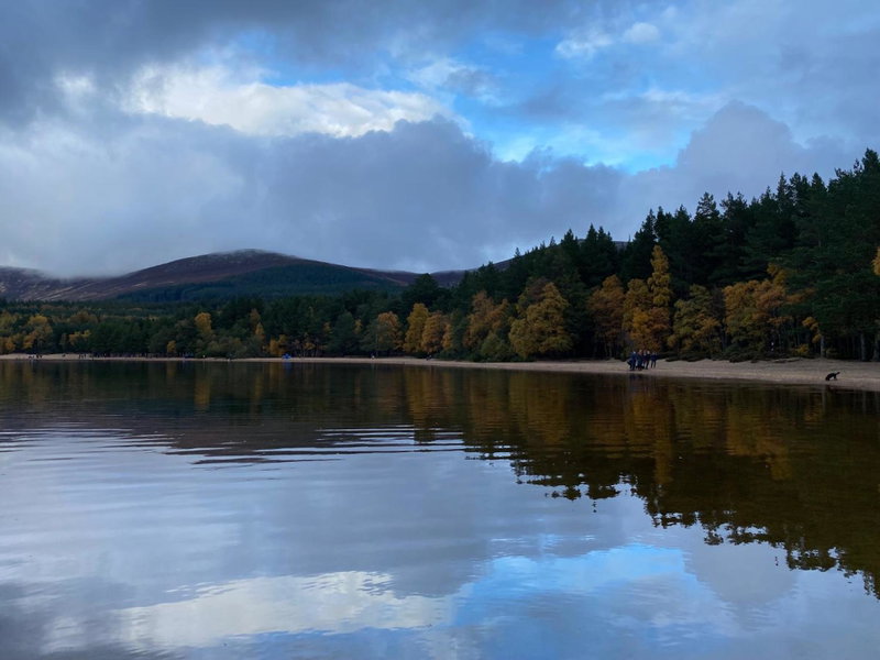 Ardenbeg, Grantown on Spey, United Kingdom