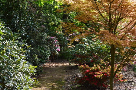Pinecroft Barn - Relax & Unwind!, Storrington, United Kingdom