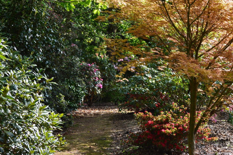 Pinecroft Barn - Relax & Unwind!, Storrington, United Kingdom